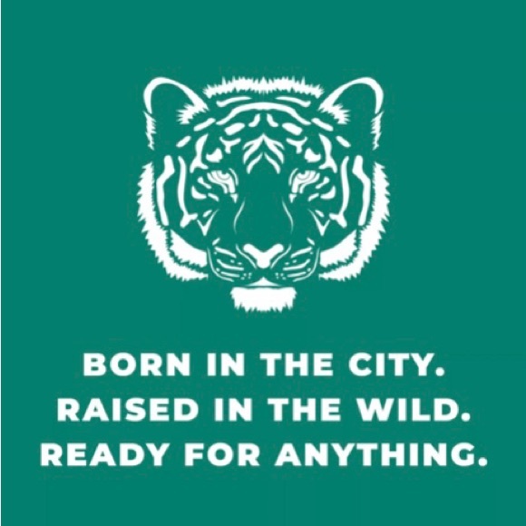 NWOB LeTigre Baxter sneakers size 6M - Picture 2 of 8